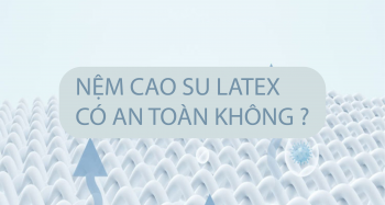 NỆM CAO SU LATEX LÀ GÌ ? CÓ AN TOÀN KHÔNG